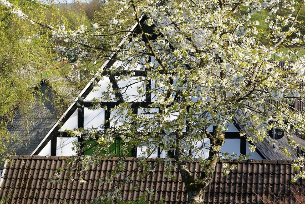 Gasthof Schumacher Hotel Garni Freudenberg  Bagian luar foto